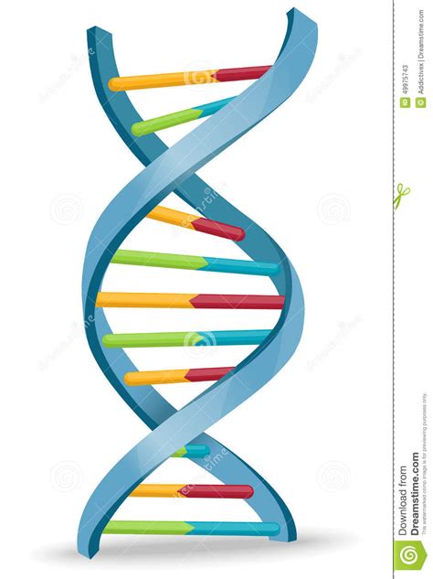 Dna clip art Vectors & Illustrations for Free Download .